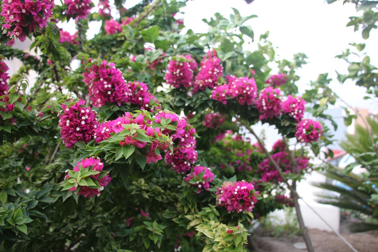 Villa Agrumeto Lipari  Exteriör bild
